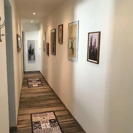 Beaux Lofts Pres D'europa Park Et Strasbourg