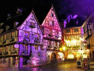 Beaux Lofts Pres D'europa Park Et Strasbourg * Obenheim