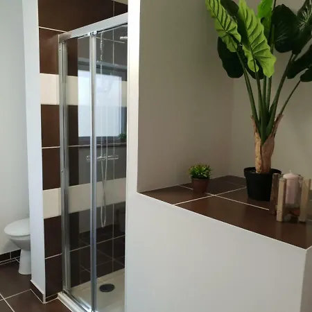 Beaux Lofts Pres D'europa Park Et Strasbourg Ferienhaus *