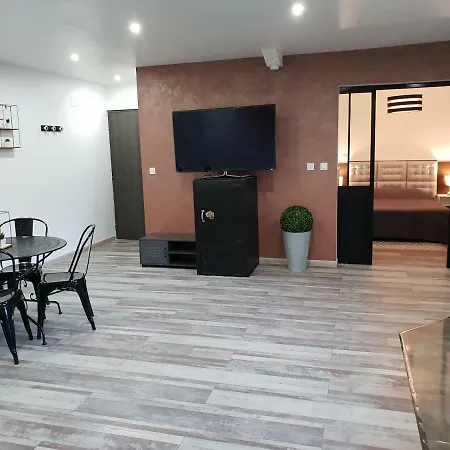 Beaux Lofts Pres D'europa Park Et Strasbourg *