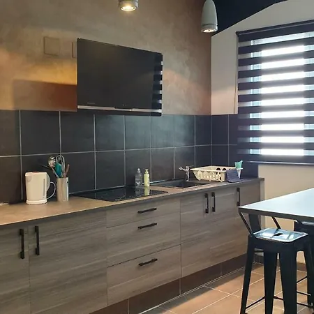 Beaux Lofts Pres D'europa Park Et Strasbourg Obenheim