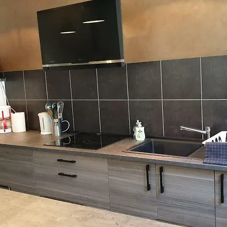 Beaux Lofts Pres D'europa Park Et Strasbourg Ferienhaus
