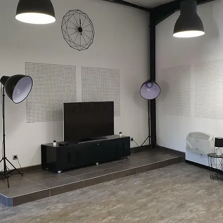 Beaux Lofts Pres D'europa Park Et Strasbourg