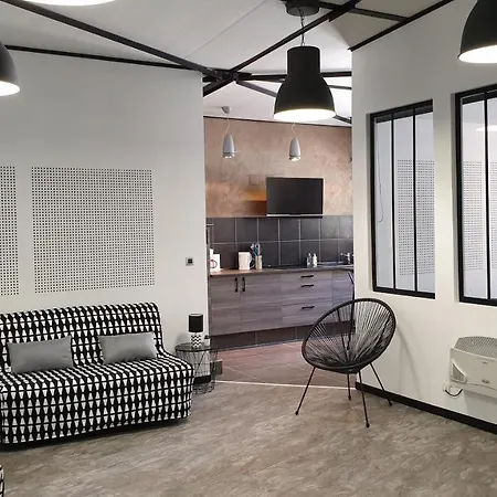 Beaux Lofts Pres D'europa Park Et Strasbourg Ferienhaus