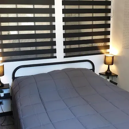 Beaux Lofts Pres D'europa Park Et Strasbourg *